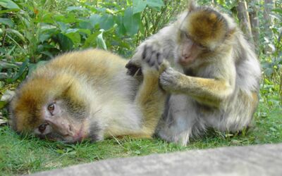 Tierpark Malchow