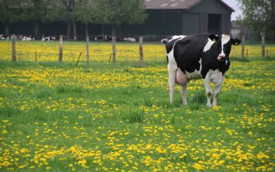 Landwirtschaftminister tagen in Göhren-Lebbin