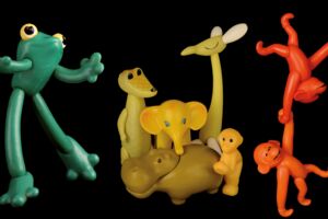 Veranstaltung Waren (Müritz)