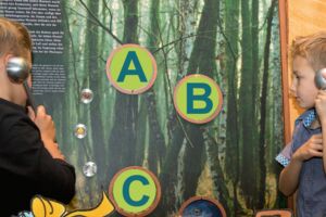 Freier Eintritt im Müritzeum