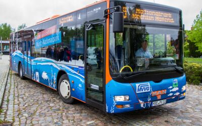 Sicherheit beim Busfahren