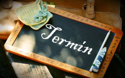 Schulen in Mecklenburg-Vorpommern