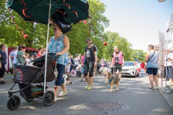 Hundersport Waren (Müritz)