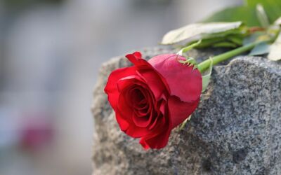 Polizeihauptreviers Stralsund