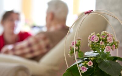 DRK Kreisverband Mecklenburgische Seenplatte e.V.