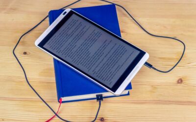 Bibliotheken Mecklenburgische Seenplatte