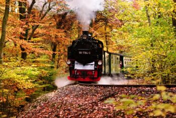 behindertengerechte Eisenbahn Mecklenburg-Vorpommern