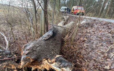 Feuerwehreinsätze nach Sturm Mecklenburgische Seenplatte