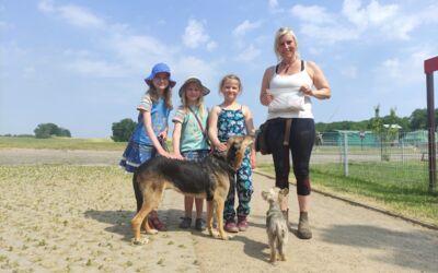 Tierschutz Müritzregion