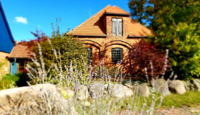 Hotel Müritz-Nationalpark