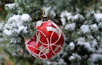 Weihnachtsbaum Müritzregion kaufen
