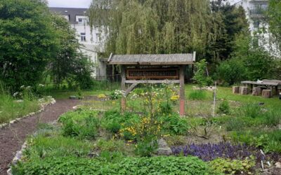 Pflanzen- und Saatgutbörse Warener Heerenseebrücke