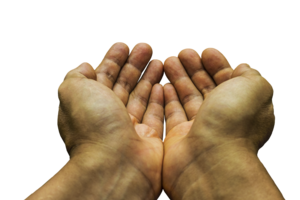 Rumänische Betrügerbande in Waren (Müritz) unterwegs