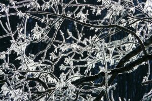 Bodenfrost Müritzregion