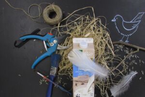 Veranstaltungen Waren (Müritz)