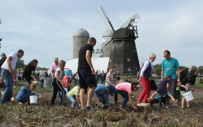 Kartoffelfest im Agroneum