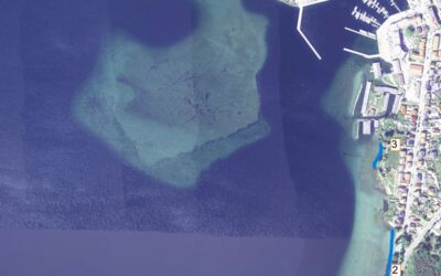 Müllsammelaktion am Müritzufer