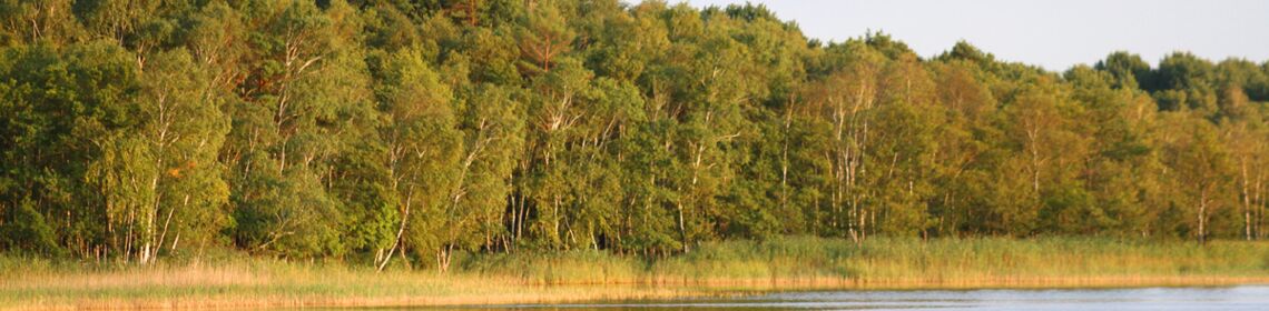 Stellenmarkt Müritz Azubi