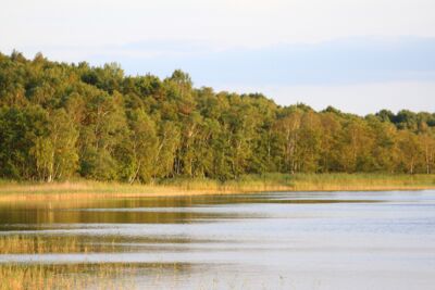 Mecklenburgische Seenplatte Mecklenburgische Seenplatte