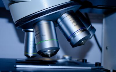 Novellierung des Landesgraduiertenförderungsgesetzes in MV