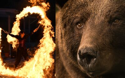 Veranstaltungen Stuer Bärenwald Müritz