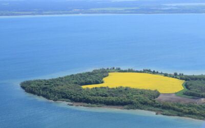 Luftbild Großer Schwerin