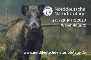 Veranstaltungen Waren (Müritz)