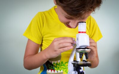 Schulen in Mecklenburg-Vorpommern