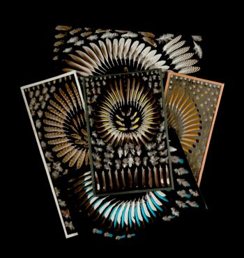 Ausstellungen Kultur Waren (Müritz)