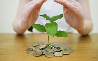 Stiftungen Mecklenburg-Vorpommern