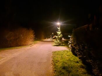 Sternenpark Naturpark Nossentiner/Schwinzer Heide