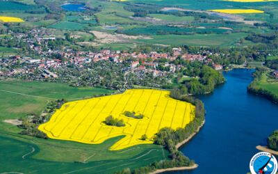 Luftbild Raps Mecklenburg