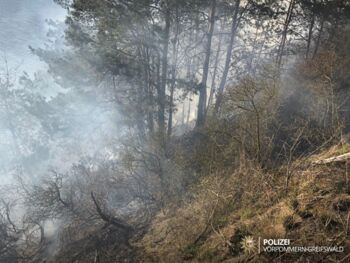 Brand einer Waldfläche in Lütow auf Usedom Waldbrandwarnstufen Mecklenburg-Vorpommern