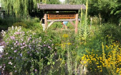 Kultur im Warener Wildpflanzengarten
