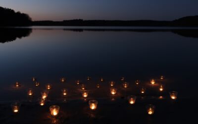 Jahresbericht 2020/2021 Müritz-Nationalpark
