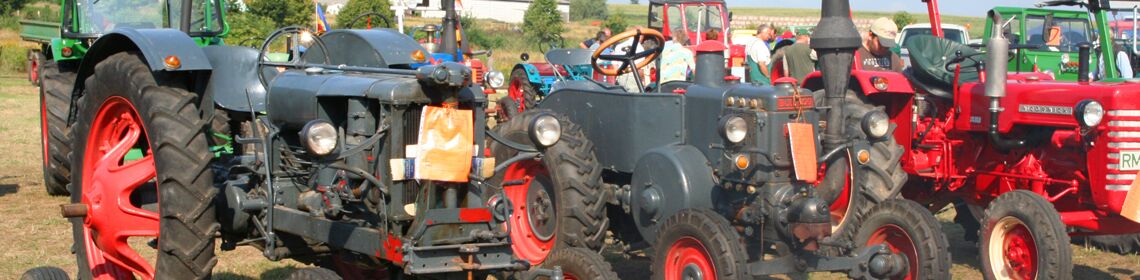 Dampftreffen Alt Schwerin