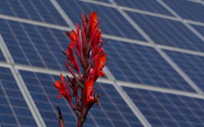 Energiegipfel in Rostock