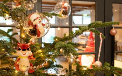 Weihnachtsessen Göhren-Lebbin