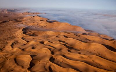 Veranstaltungen Bürgersaal Waren (Müritz)