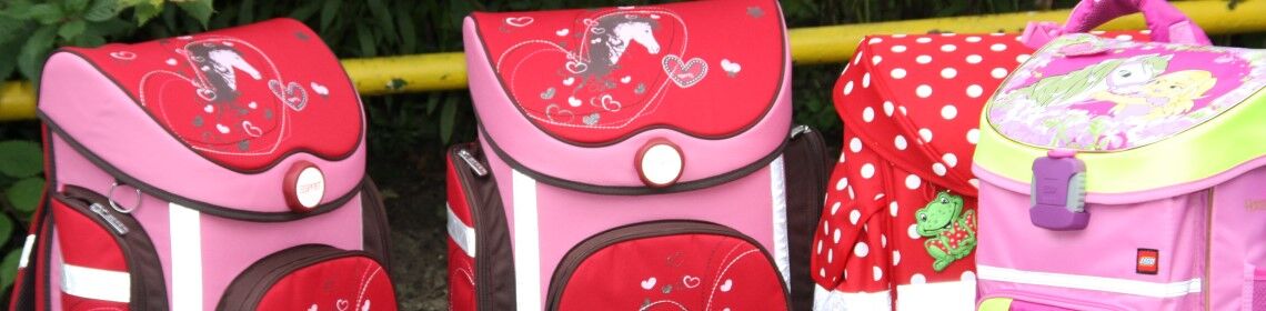 Grundschulen in Mecklenburg