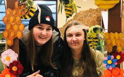 Fotrobox Bärenwald Stuer