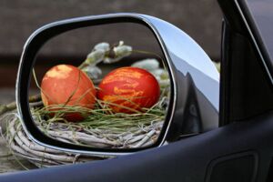 Aktuelle Nachrichten aus der Mecklenburgischen Seenplatte