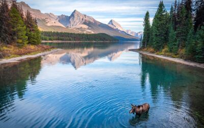 Veranstaltung Waren (Müritz) AC-Foto