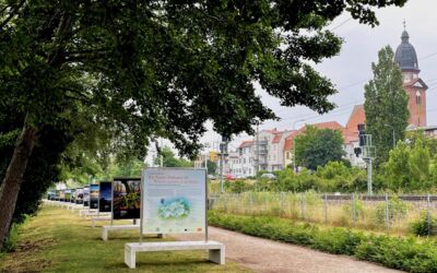 „Mecklenburg-Vorpommern: Wo Natur Zuhause ist“