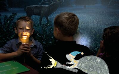 NiM - Nachts im Müritzeum