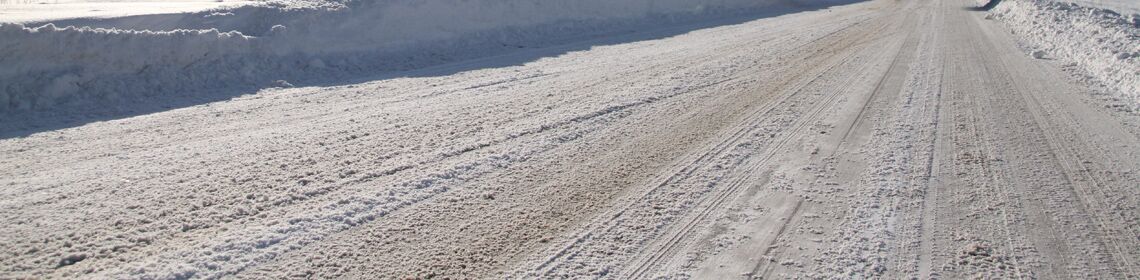 Laufveranstaltungen Müritzer LSV 04