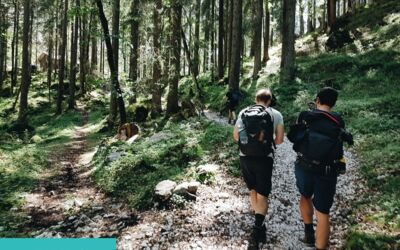 Zwei Wanderer mit Rucksäcken, die im Sommer auf einem malerischen Waldweg spazieren gehen.