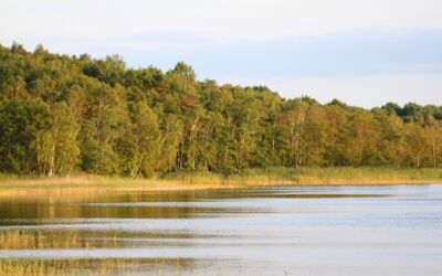 geführte Wanderungen mit dem Ranger