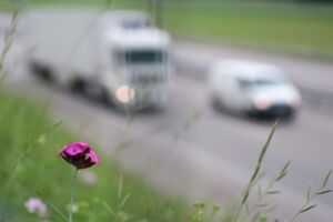 A19 Baustelle