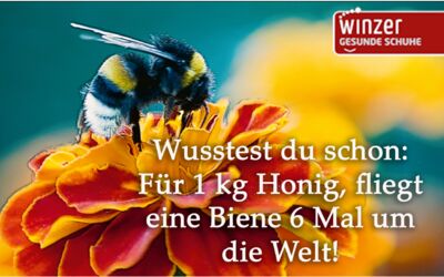 „Winzer Gesunde Schuhe“ in Waren (Müritz)